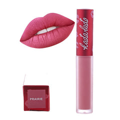 Long Lasting Liquid Matte Lip Gloss